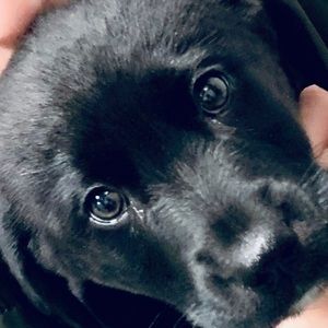 Meet your Posher, Nina